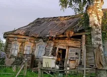 Майбутнє українського села українського