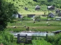 Майбутнє українського села села