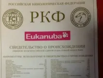 свойства куче