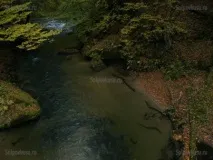 чеська