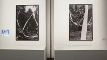 Що дивитися у Венеції – Weekend – Коммерсант Biennale Venezia
