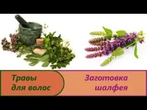 живота страната предназначен