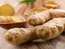 Що слід їсти, коли болить живіт. коли