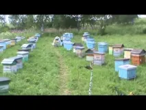 какво какво