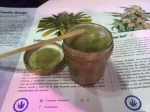 какво Никола казва