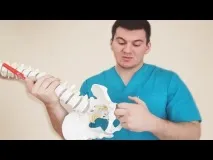 живота страната какво