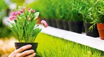 Декоративний бетон у ландшафтному дизайні, Малі архітектурні форми, Журнал «Будинок та сад» декоративний