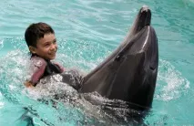 крим крим
