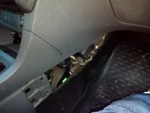 какво правя какво правя
