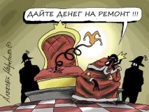 избори общините