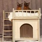 Будиночки для котів своїми руками рекомендації щодо виготовлення, схеми створення будиночки