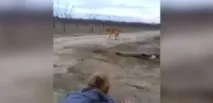 собственика собственика