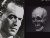 човешка човешка