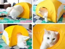 Будиночки для котів своїми руками рекомендації щодо виготовлення, схеми створення своїми