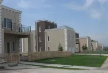 вилно вилно