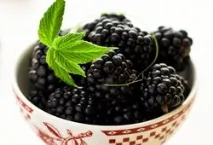 сорта blackberry
