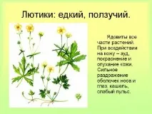 това
