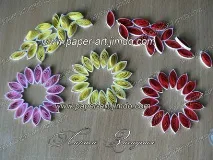 gerbera gerbera