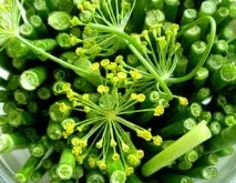 Маринований часник (рецепт приготування) часник