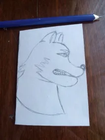 клас клас