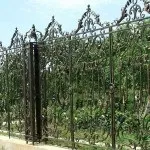 Варіанти оформлення кованих огорож паркану