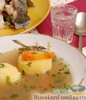 Юшка з щуки, рецепти з фото на 18 рецептів рецепти