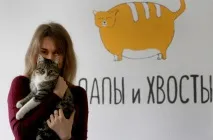 Вусатий-смугастий бізнес вусатий-смугастий