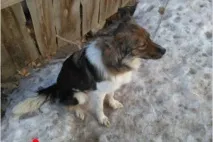 ціни
