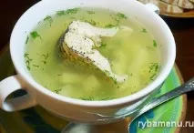 Юшка з щуки покроковий рецепт, з фото, Риба Меню фото