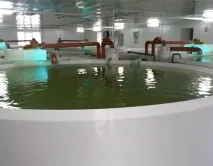 бани пържени