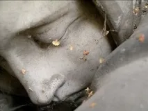 любим любим