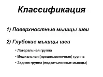 Глибокі М’язи Шії Як Зняти Спазм І Симптоми глибокі