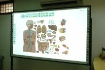 интерактивни интерактивни
