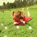 бувають