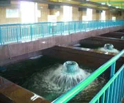 Використання річок роль річок