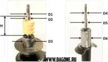 задньої