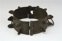 кучета историята