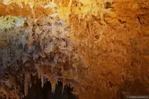 Виворот Техасу, відгук від туриста Chedty на техасу