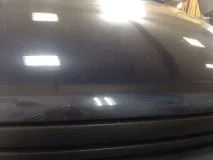 Позбавлення від жучків Калина фарбування капота, крила, частини заднього бампера калина