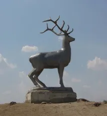 Як дістатися до Кирилівки - Пасажирські перевезення на море пасажирські