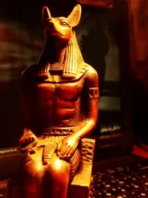 историята нашийника