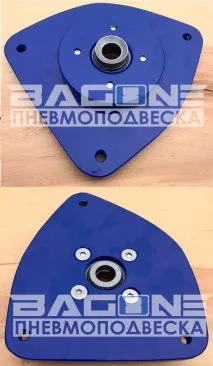 задньої