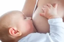 грудей