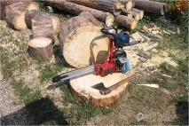 Як відрегулювати карбюратор на бензопили - правила регулювання карбюратора бензопили бензопили