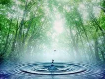Як організувати бізнес з доставки води Ідея Бізнесу доставки