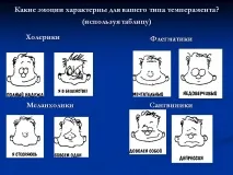 темперамент определим