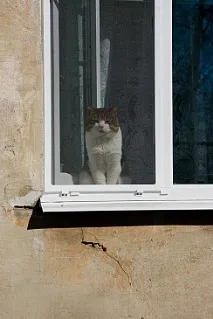 започнахме работим