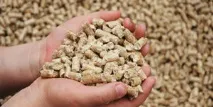 Як приготувати стартовий корм для бройлерів у домашніх умовах корм