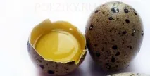Як приготувати коктейль молодість із перепелиних яєць яєць