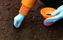 подготовка пролетна